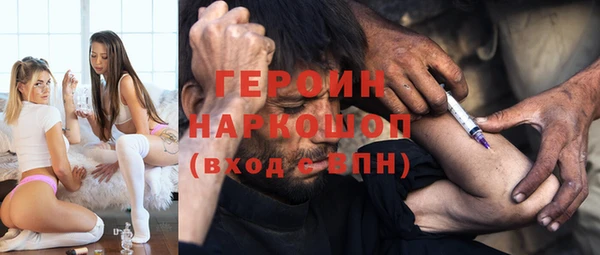 сатива Бородино
