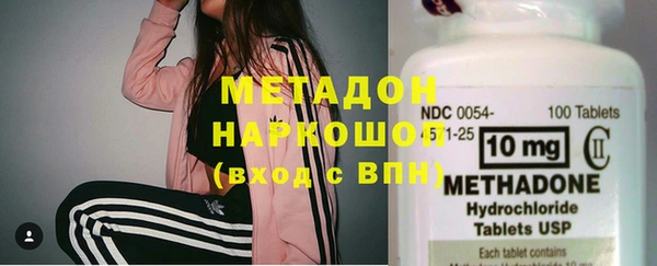 сатива Бородино