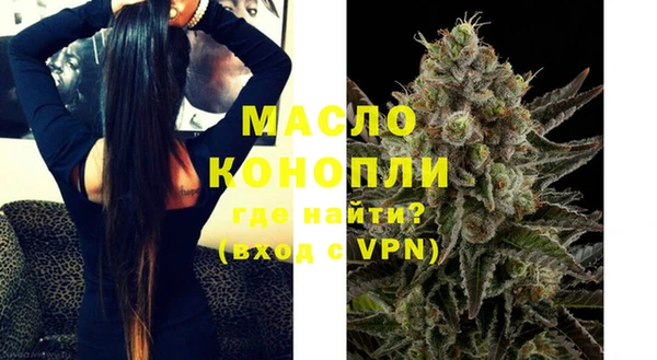 сатива Бородино