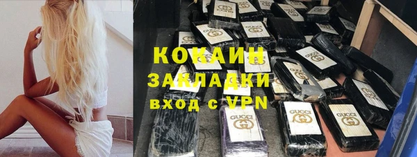 сатива Бородино