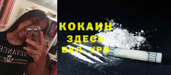 сатива Бородино