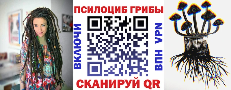 Галлюциногенные грибы Magic Shrooms Каменск-Шахтинский